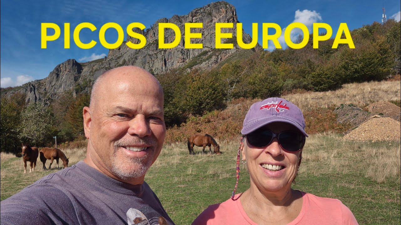 #25055 PICOS DE EUROPA 