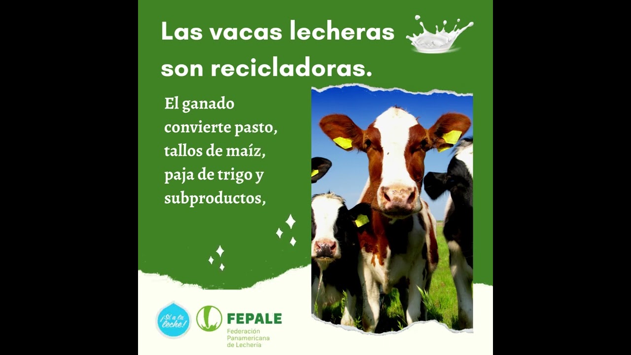 La sostenibilidad impulsa al sector lechero: econom&iacute;a circular
