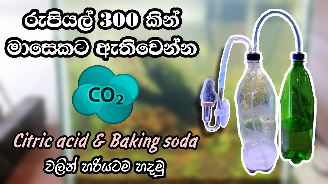 How to make a CO₂ System for Your Aquarium : Citric Acid & Baking Soda වලින් tank එකට CO₂ හදමු