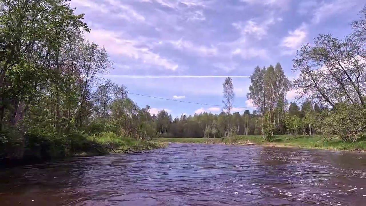 Ogres upes Brāžu krāces 27.05.25 4K