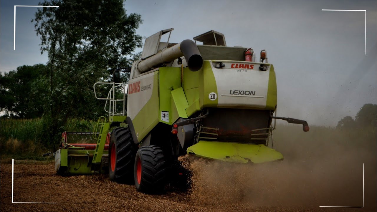 ☆ŻNIWA GROCHU 2021☆CLAAS LEXION 540☆