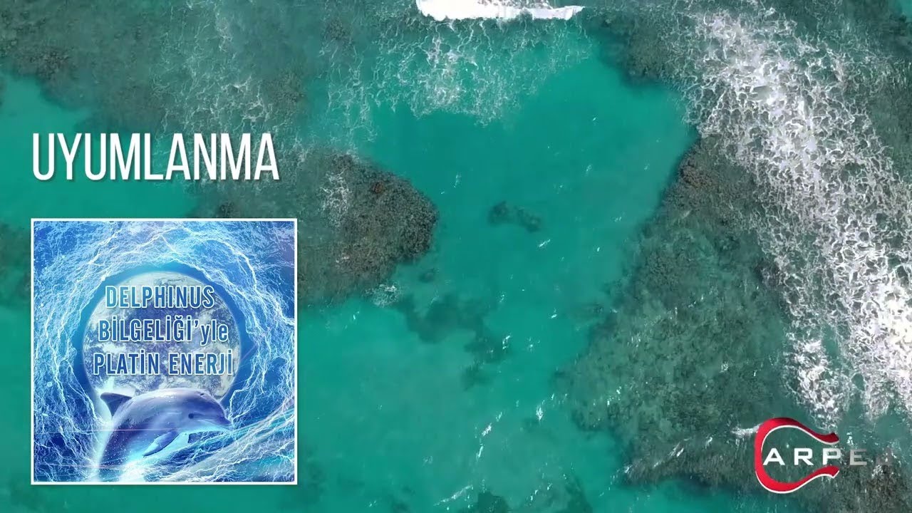 &Uuml;lker Uzun Polat - Uyumlanma (Delphinus Bilgeliği'yle Platin Enerji)