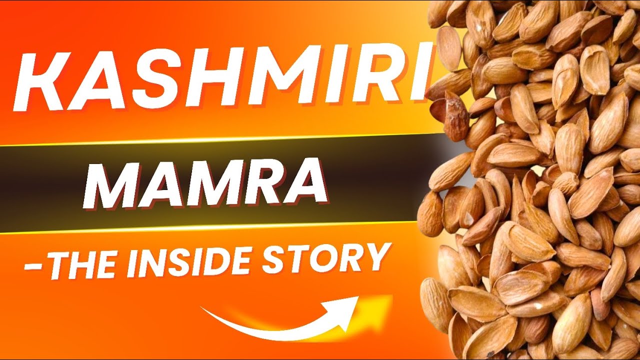 Kashmiri Mamra, the truth behind Kashmir's famous almonds!!! 
