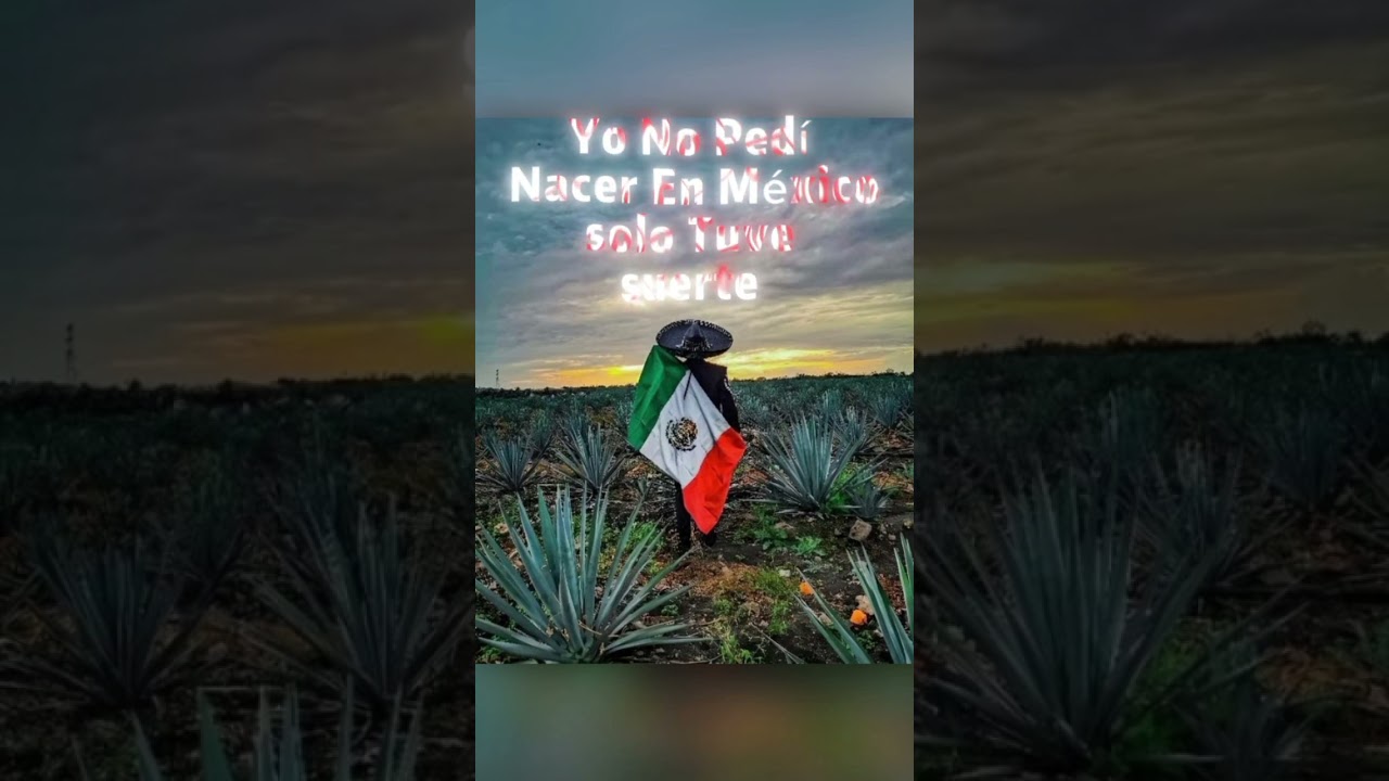 #parati #popular #viralvideos #viral #viralvideo #viralshorts #memes #motivation  #music  #mexico