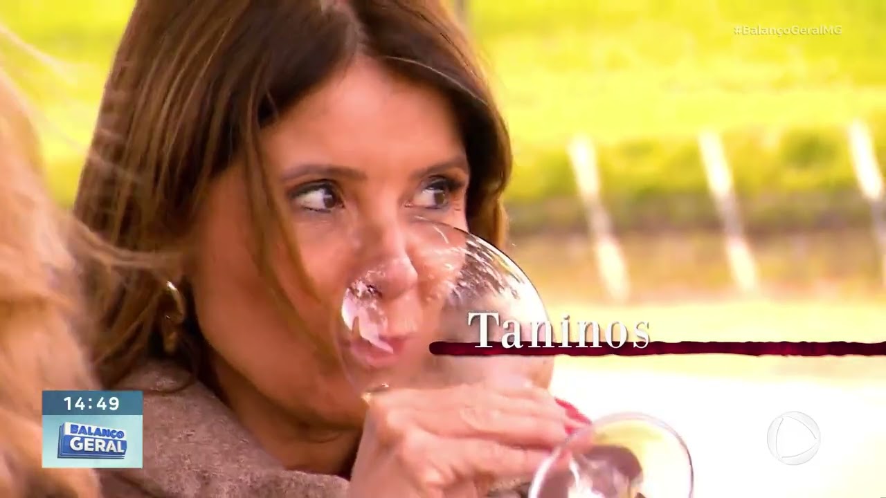 Vinhos das Montanhas de Minas: clima no estado é favorável para produção de 