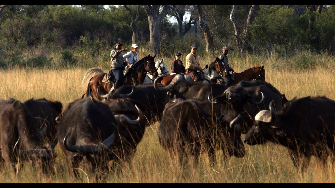 Horseback safari in the Okavango Delta - Camp Macatoo