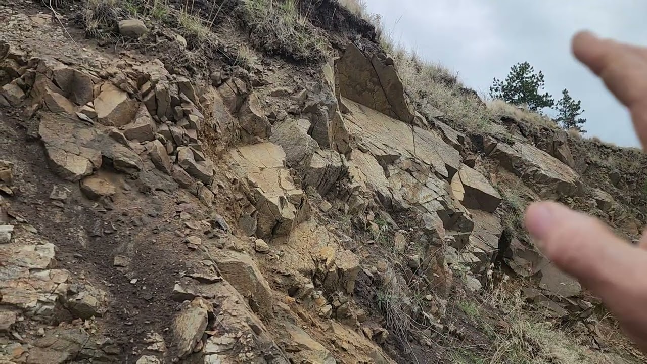 Gabbro & Quartz Exploration 