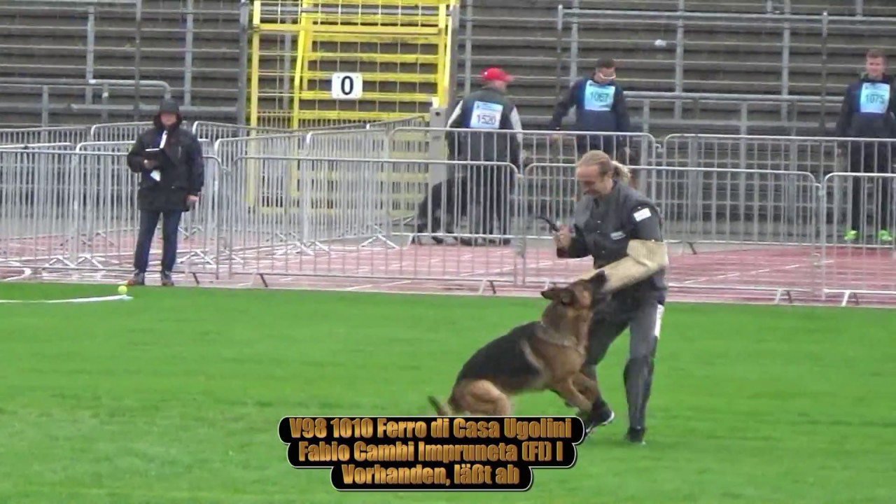 2017 SV BSZS in Ulm TSB part 108 V98 Ferro di Casa Ugolini