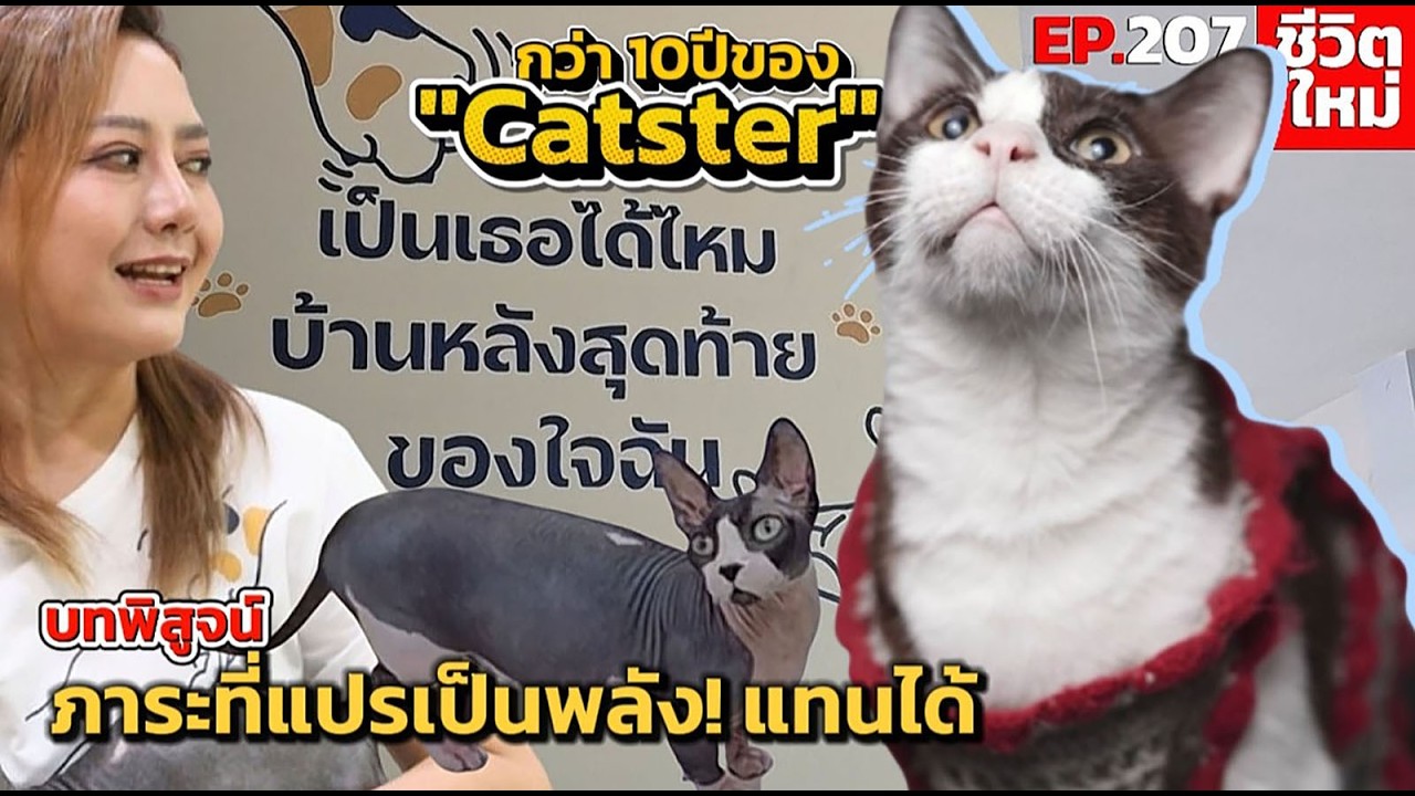 ทำคาเฟ่แมวยังไงให้ธุรกิจอยู่ได้ 