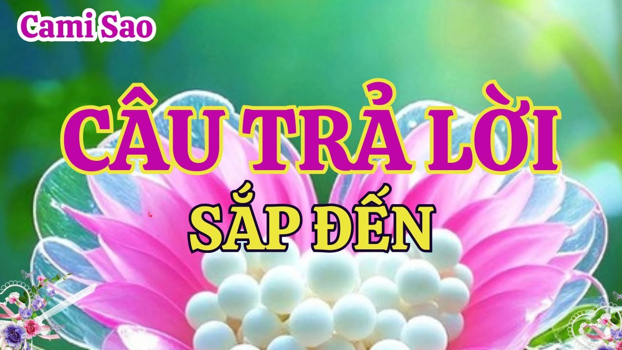 Tarot | Câu trả lời mà bạn sắp nhận được trong giai đoạn chuyển mình này