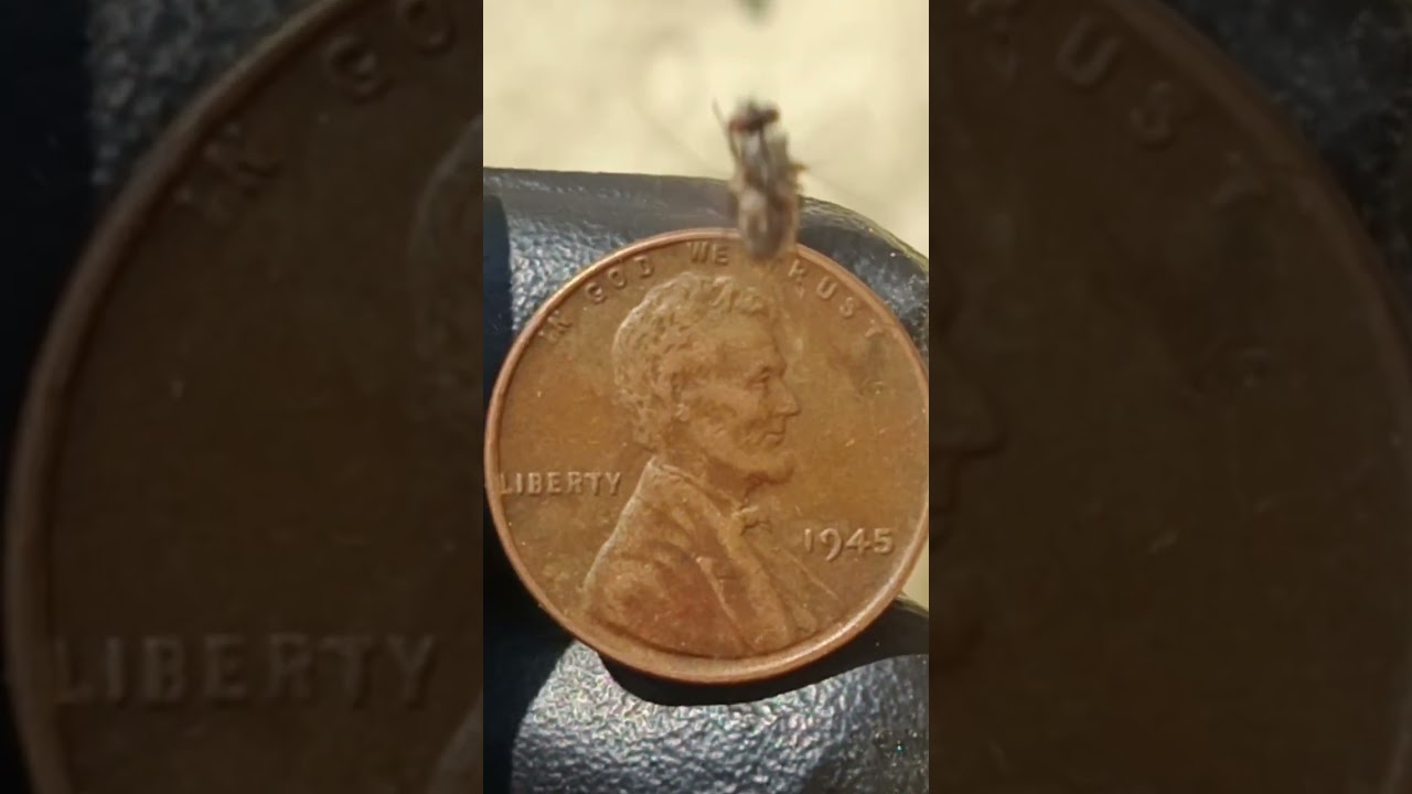 MAKE YOU RICH!SECRETS"WHEAT PENNY 