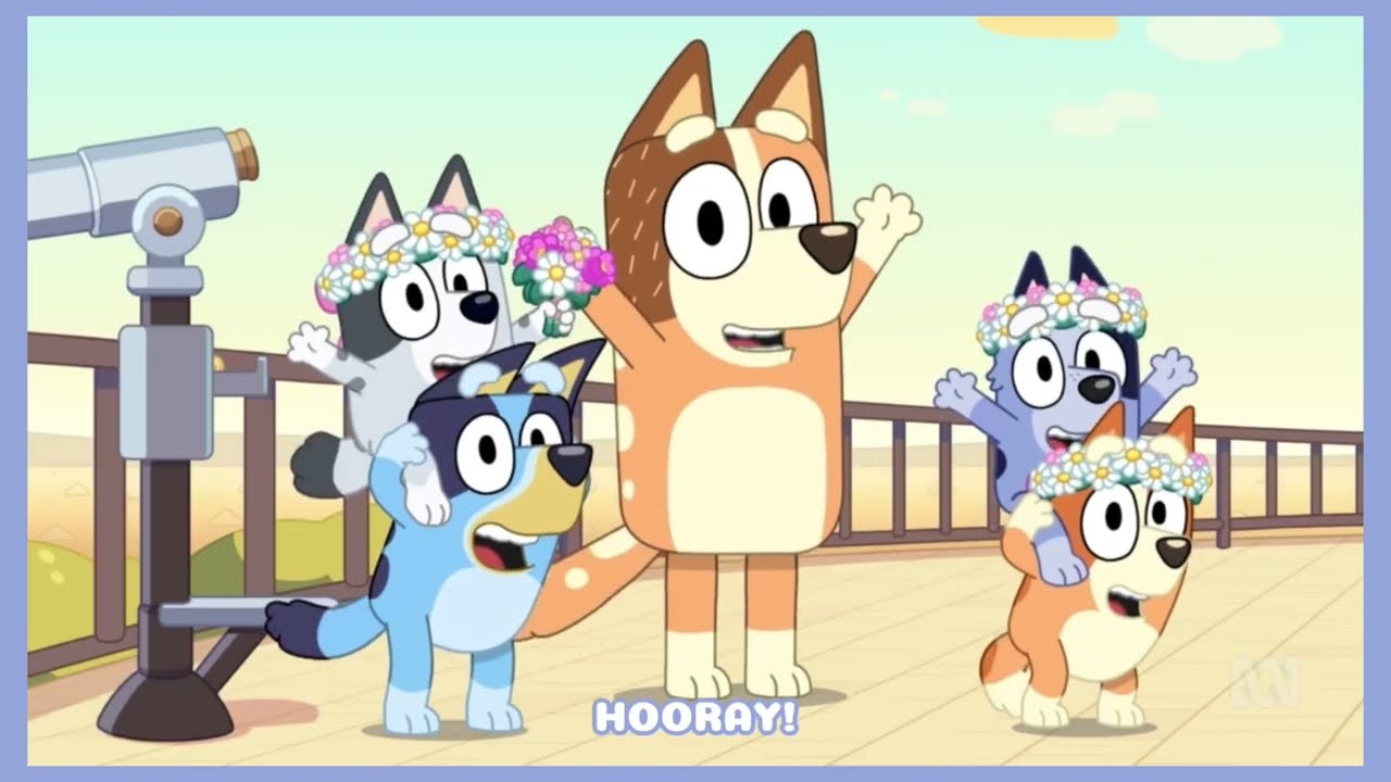 Bluey The Sign Socks Talking