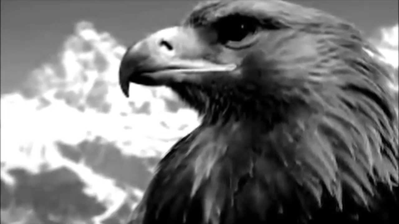 FLY LIKE AN EAGLE - Native American