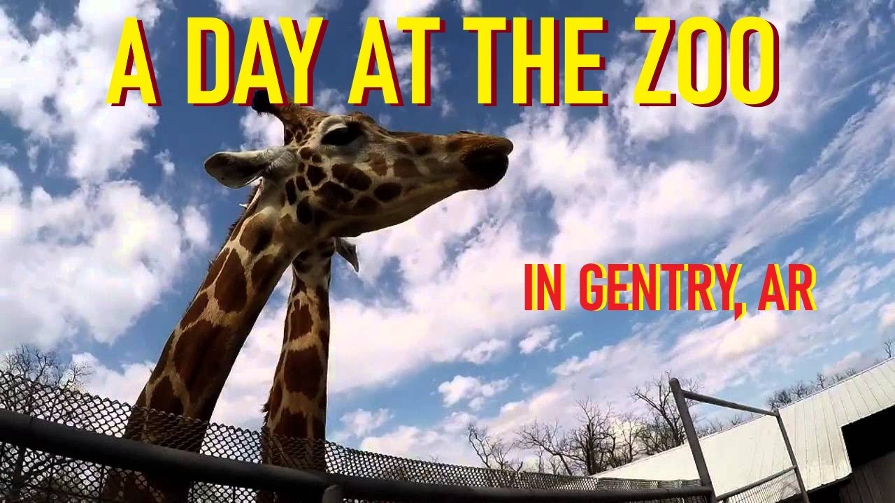 A Day at the Zoo Gentry Arkansas Old VHS 1992