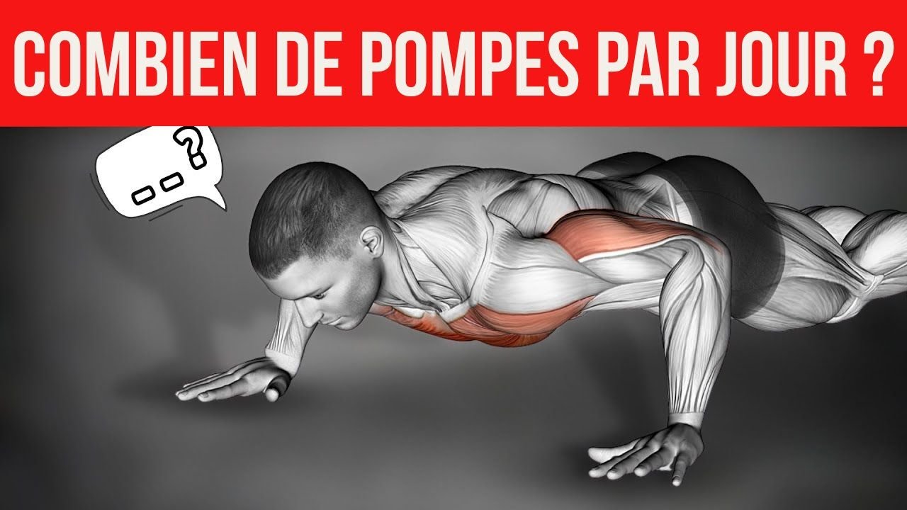 Combien de pompes par jour pour se muscler réellement