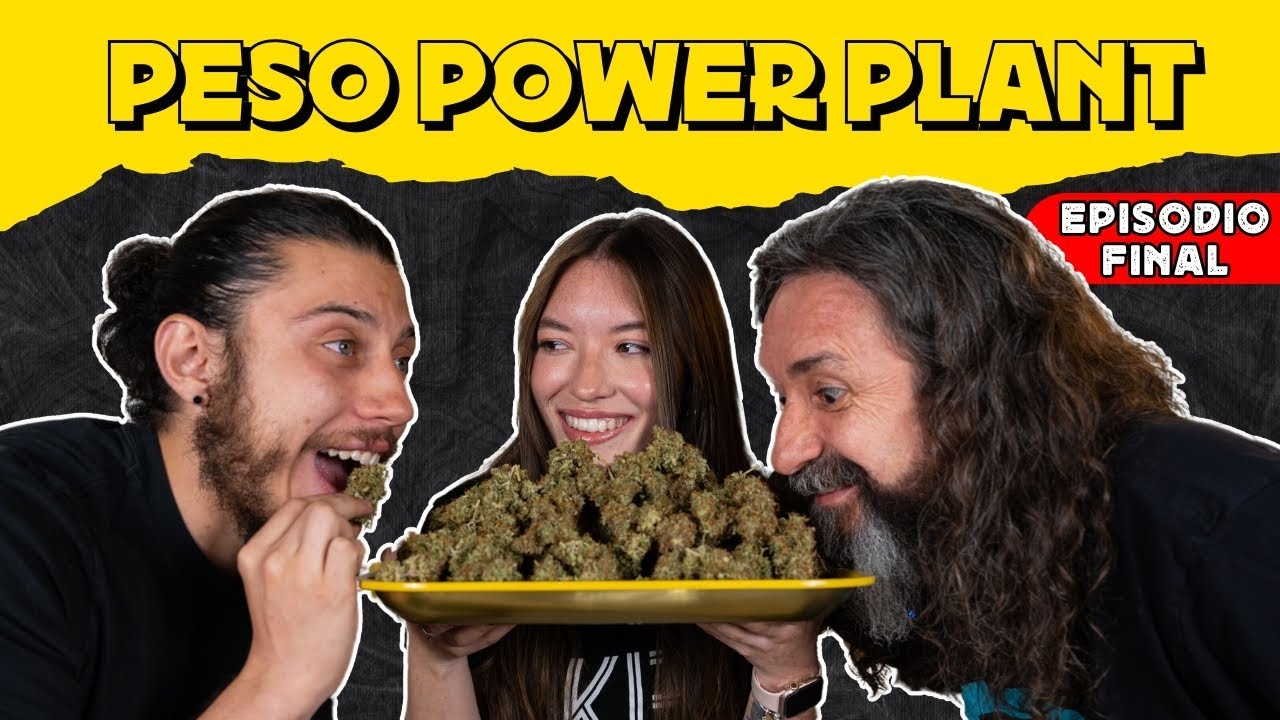 EPISODIO 8: AROMAS & TERPENOS - Grape Venom | Purple Mints | Orange Blossom | Negra 44 | Power Plant