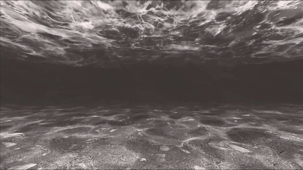 Cujo Moon - everything i wanted (Billie Eilish Cover)