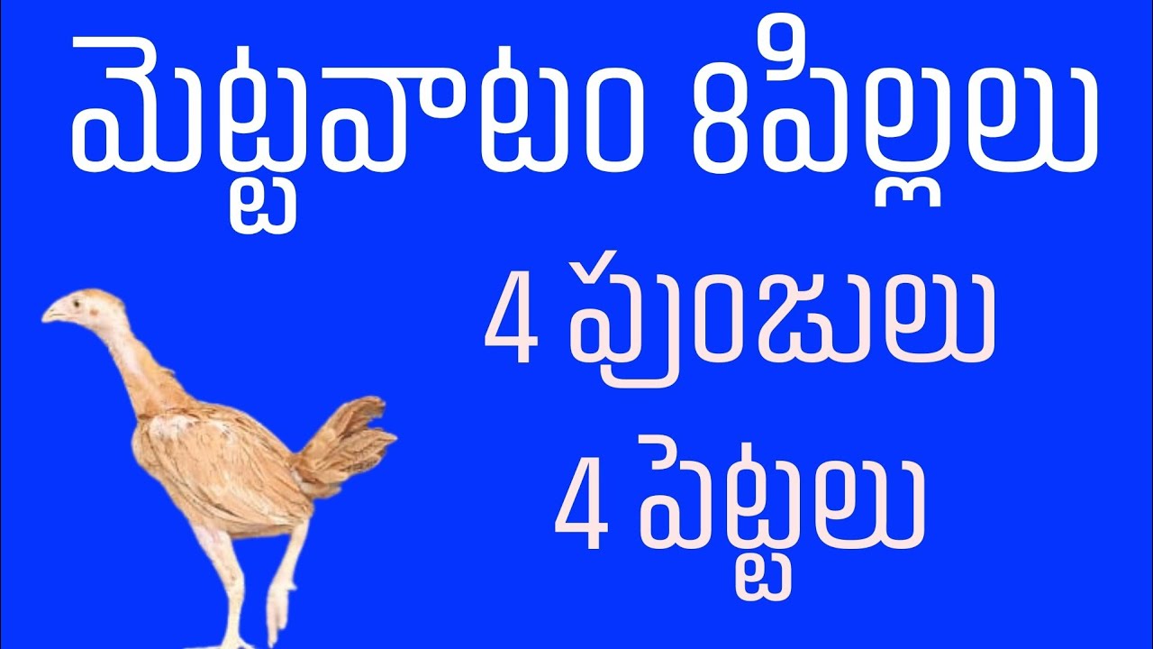 8 పిల్లలు #9398487881 #8328097624