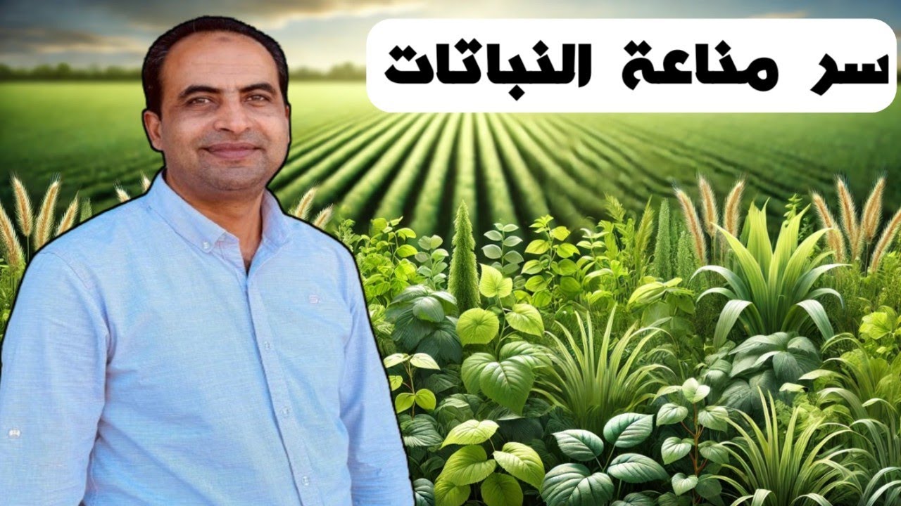 السالسيلك أقوى محفز طبيعي لمناعة النباتات