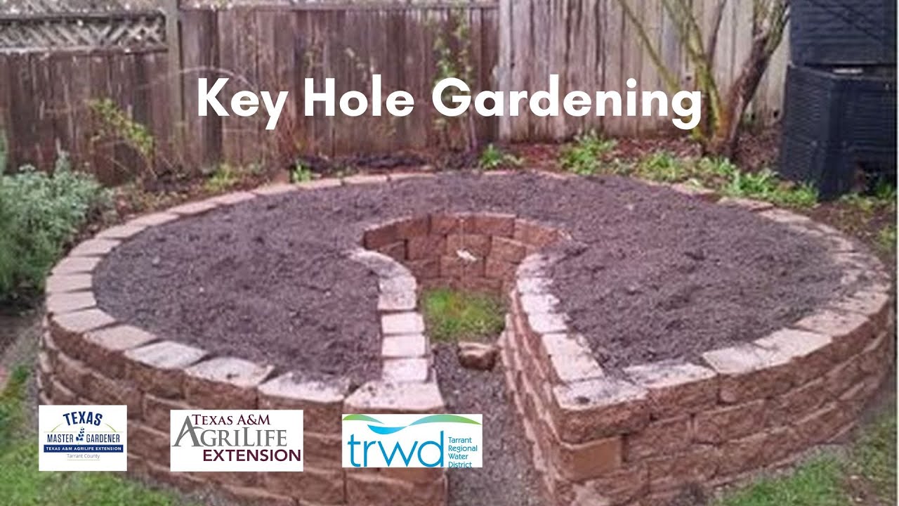 Keyhole Gardening w Sian Rees 10 08 2024