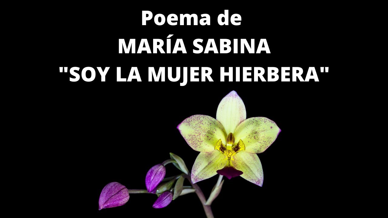 Poema de MARÍA SABINA (Curandera Mexicana)  