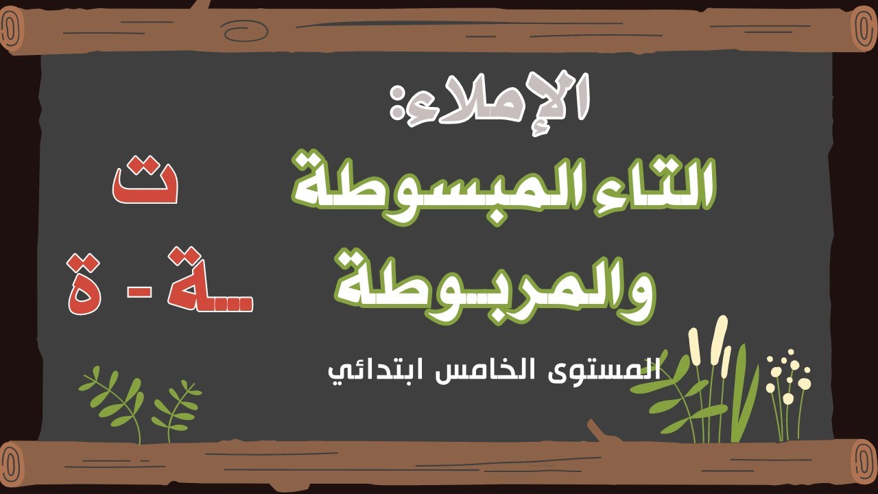 الإملاء: التاء المبسوطة والمربوطة المستوى/الخامس ابتدائي