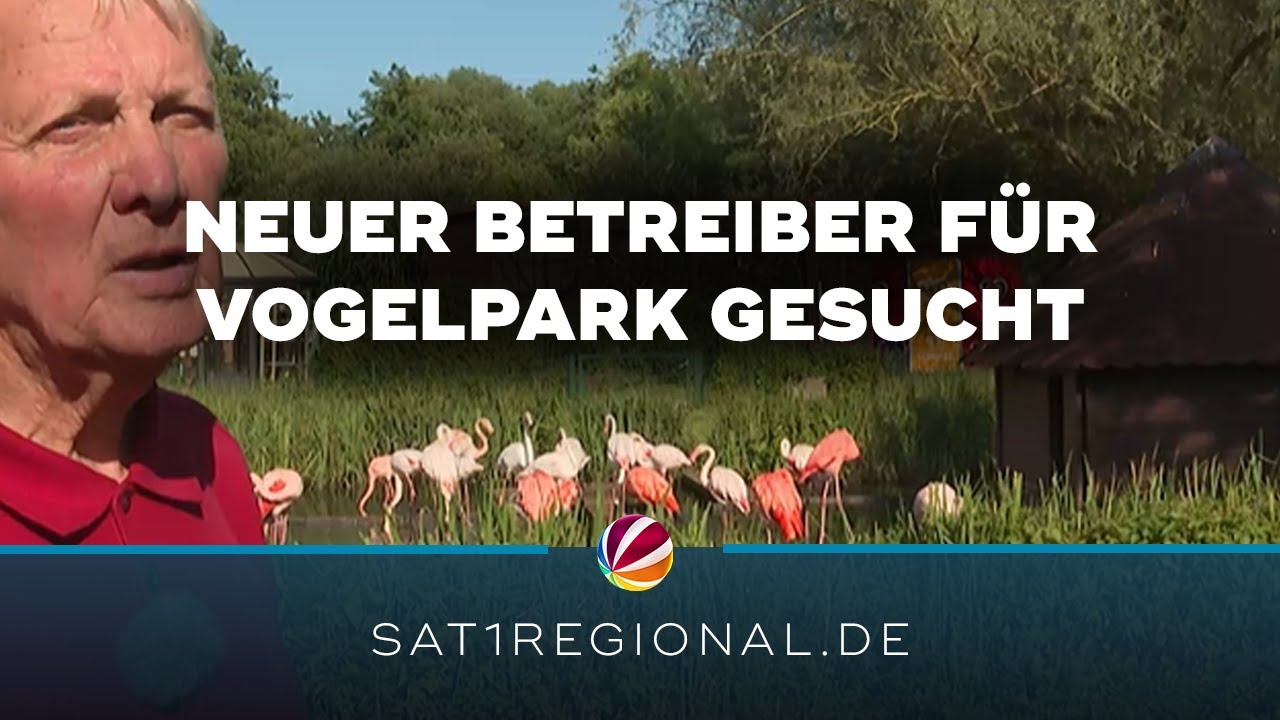 Neuer Betreiber für Vogelpark Niendorf gesucht