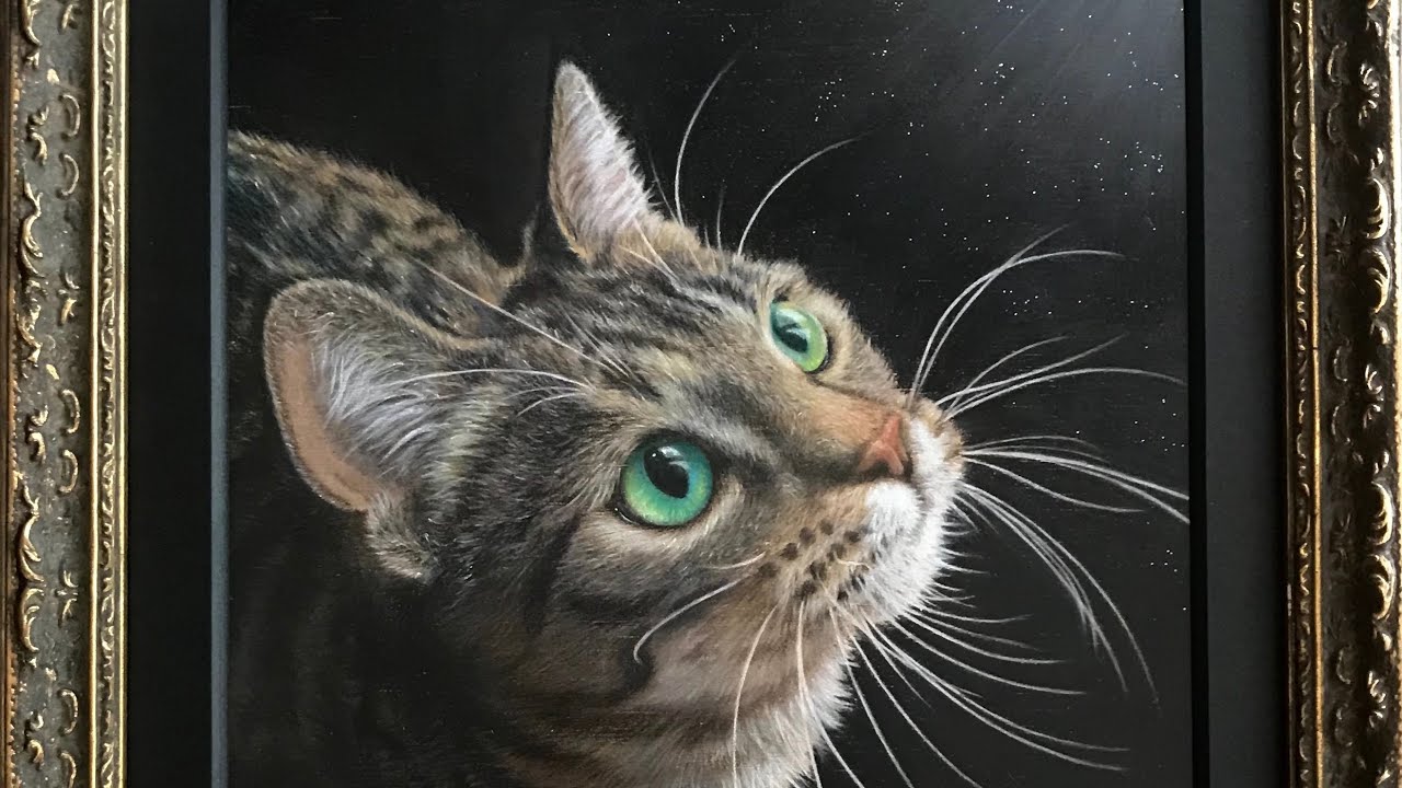 色鉛筆画（キジトラ猫）の描き方