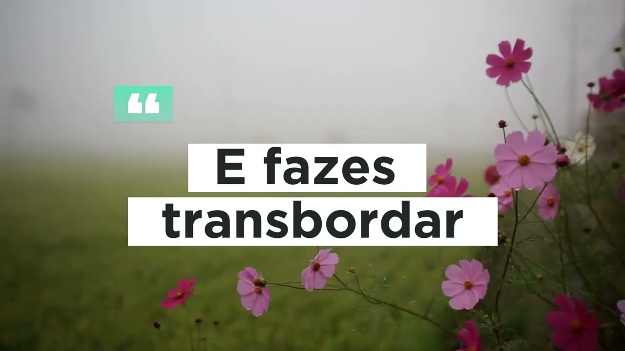 Me Rendo aos Teus Pés - Canção & Louvor - LEGENDADO