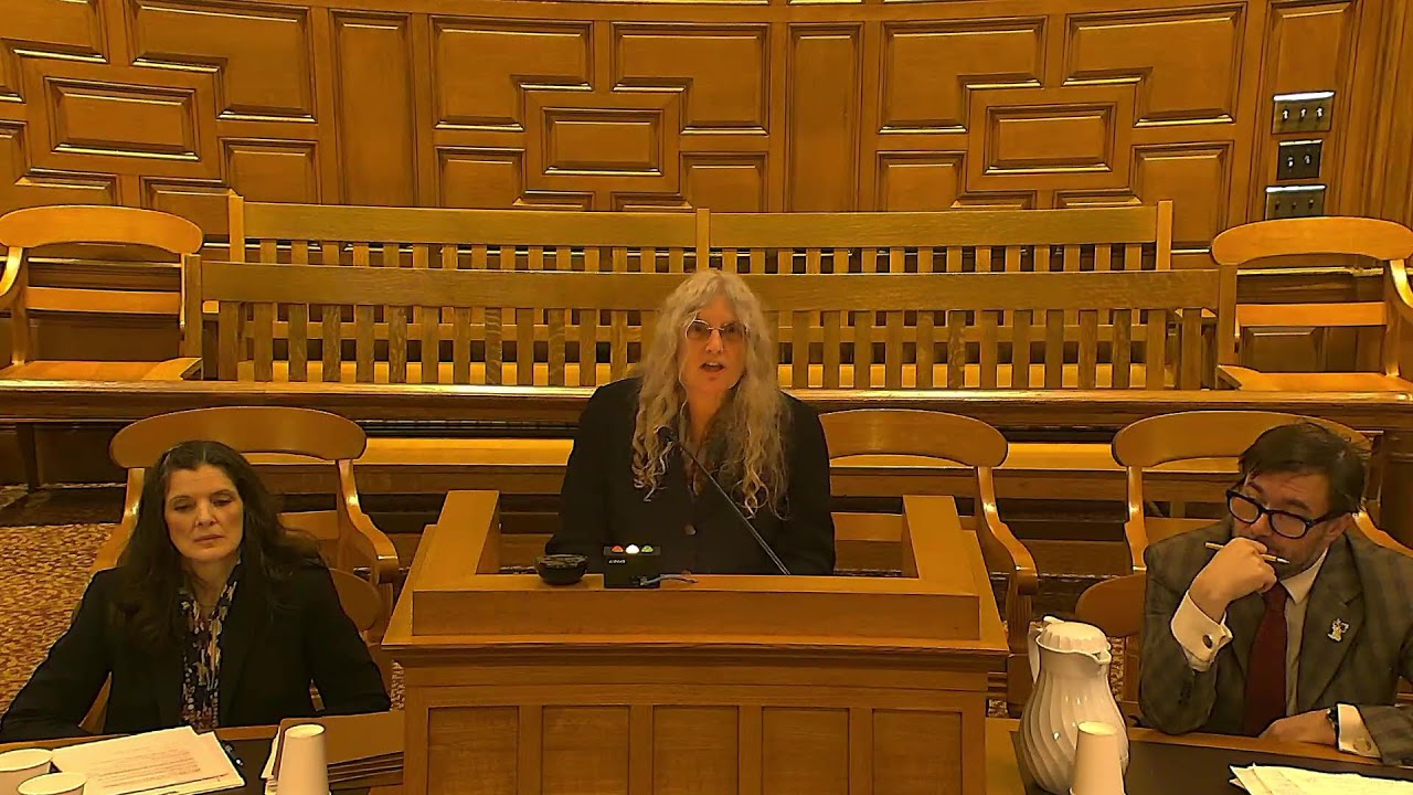 Oral Arguments, November 10, 2025, Massing, Hand, Allen, JJ., presiding