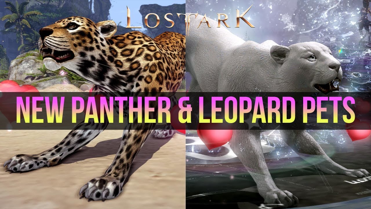 NEW Panther & Leopard Pets Showcase - Lost Ark (4K gameplay)