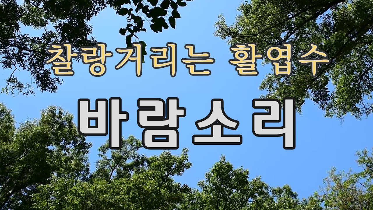 (3시간,활엽수낙엽소리)바람에 찰랑거리는 낙엽소리, 바람소리 영상입니다.