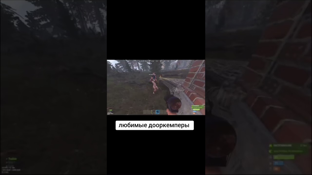 Доркемперы &laquo;качество желает быть лучше&raquo; #rust #gaming #rustoria #playrust #rustconsole #chistobzden