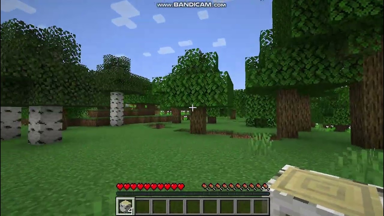 minecraft oynadım