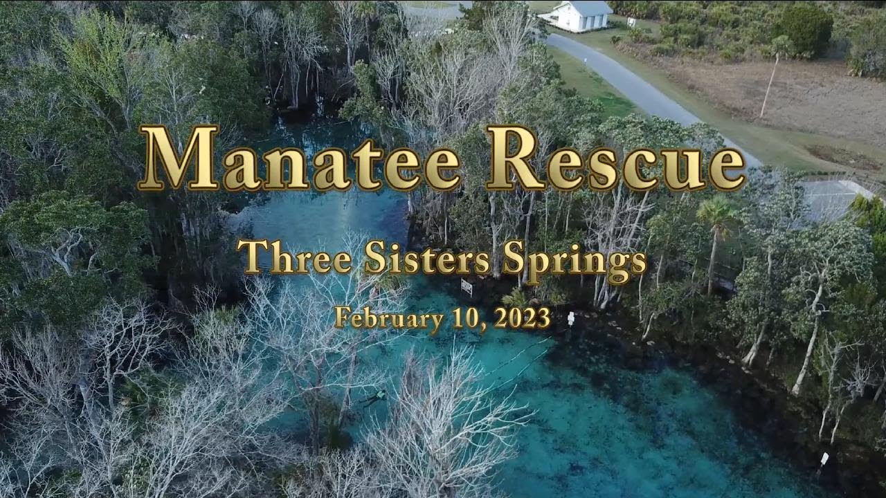 Manatee Rescue