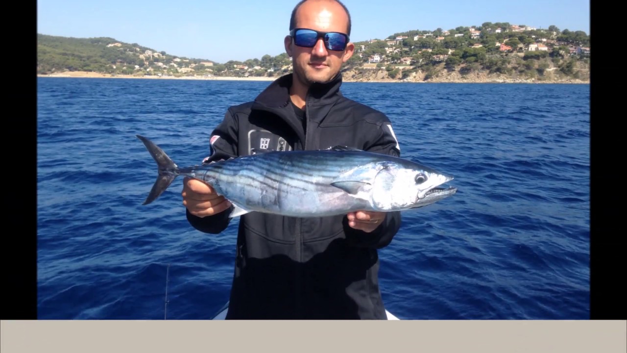 Jigging : montage magique pour la peche au jig