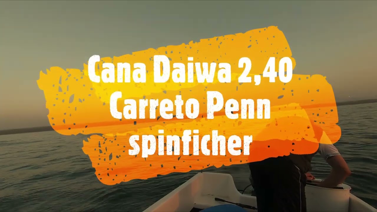 Pesca de Robalos e Douradas na ria de Aveiro 2022