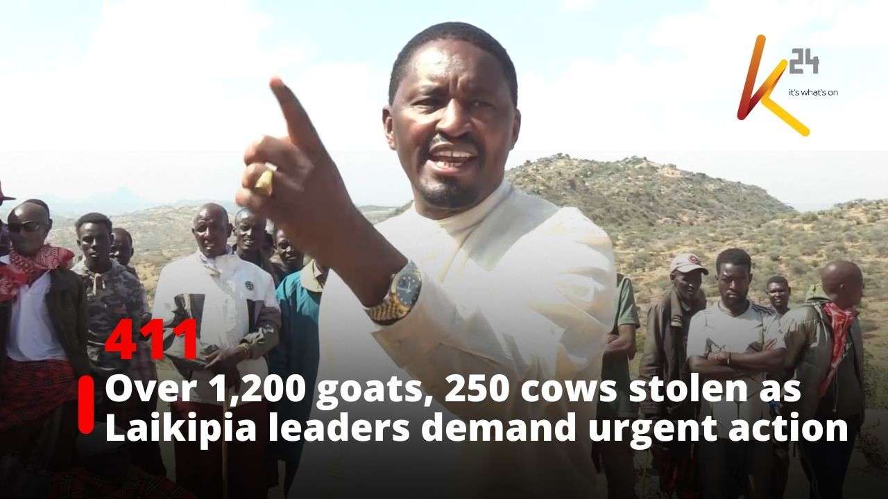 Over 1,200 goats, 250 cows stolen as Laikipia leaders demand urgent action