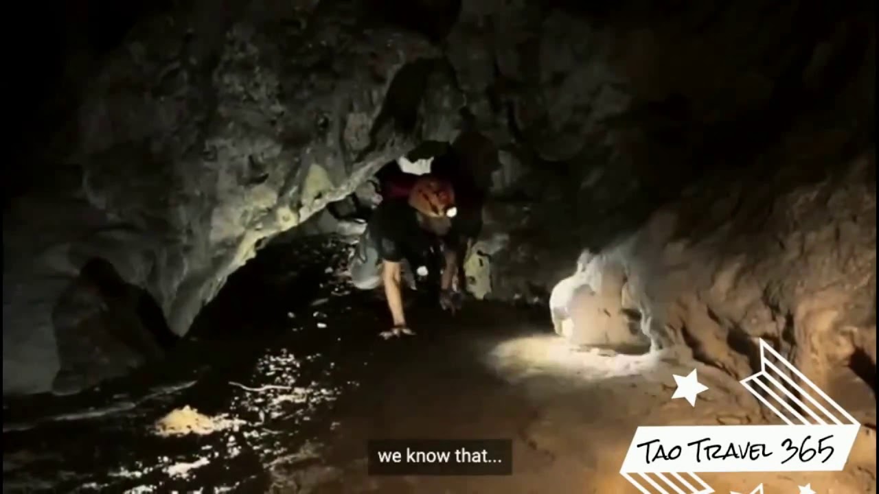 Cenote Exploration Caving Tour in Private Cenote
