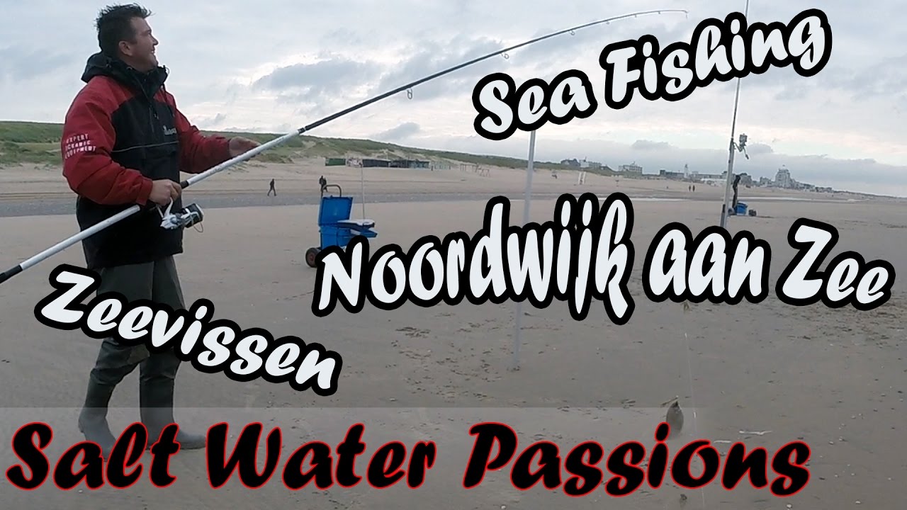 Zeevissen Vanaf De Kant 2016 - Sea Fishing From The Beach - Noordwijk aan Zee - Salt Water Passions
