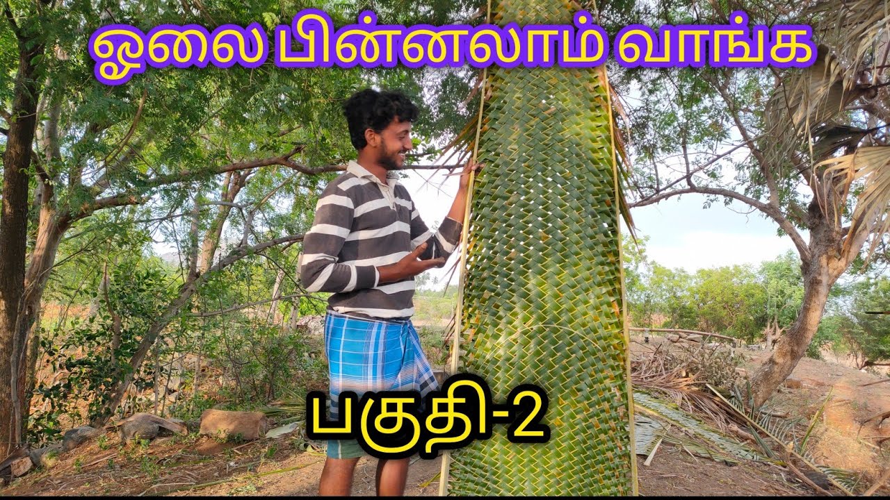 Coconut leaf knitting 2nd method|part 2|தென்னை ஓலை பின்னுவது எப்படி? மற்றொரு முறை|Thengathotti|
