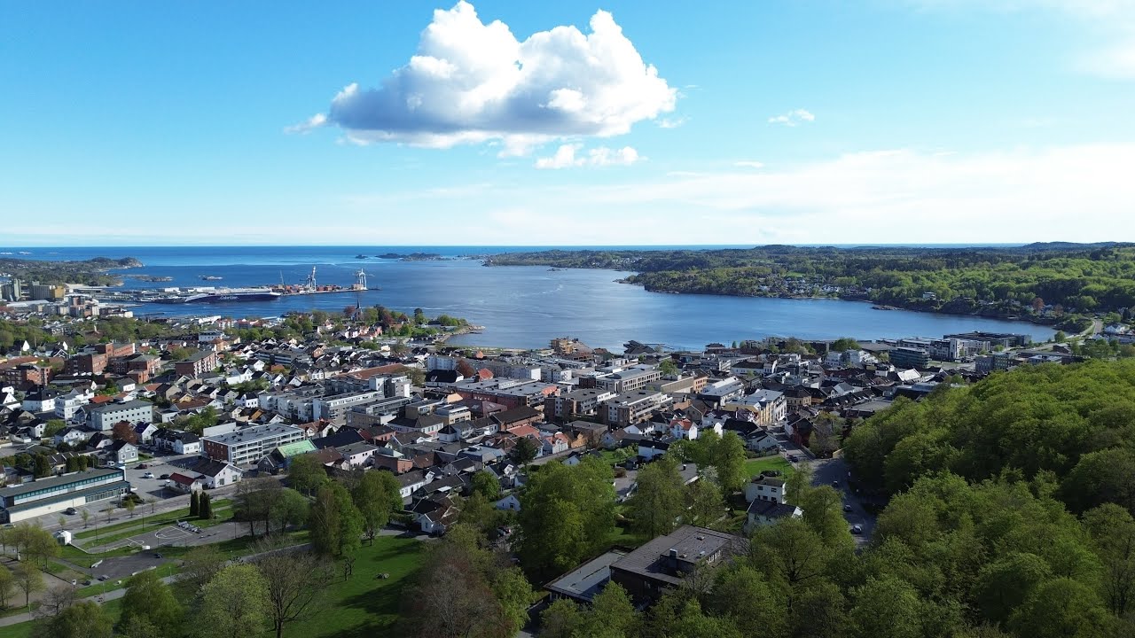 Bøkeskogen ble grønn… igjen #Larvik
