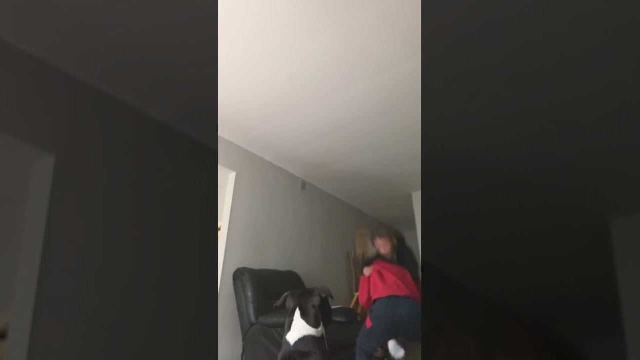 Godzilla&rsquo;s kingdom