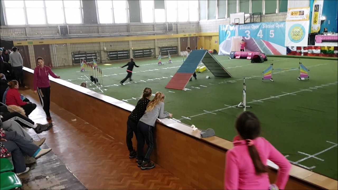 Black panther winning Silesian Open 2017