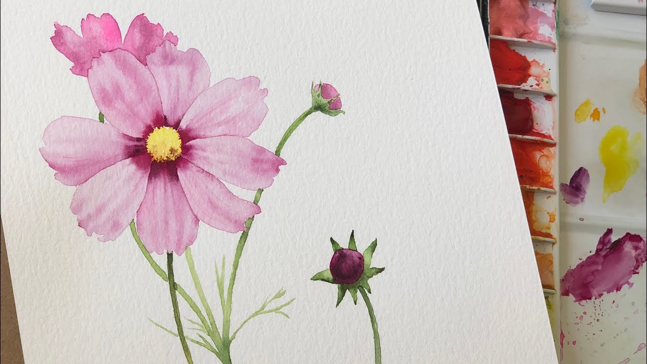 코스모스 수채화로 그리기 / 가을 느낌 물씬 담은 꽃그림 / Cosmos painting in watercolor