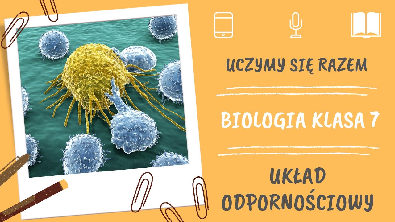 Biologia klasa 7. Układ odpornościowy. Uczymy się razem