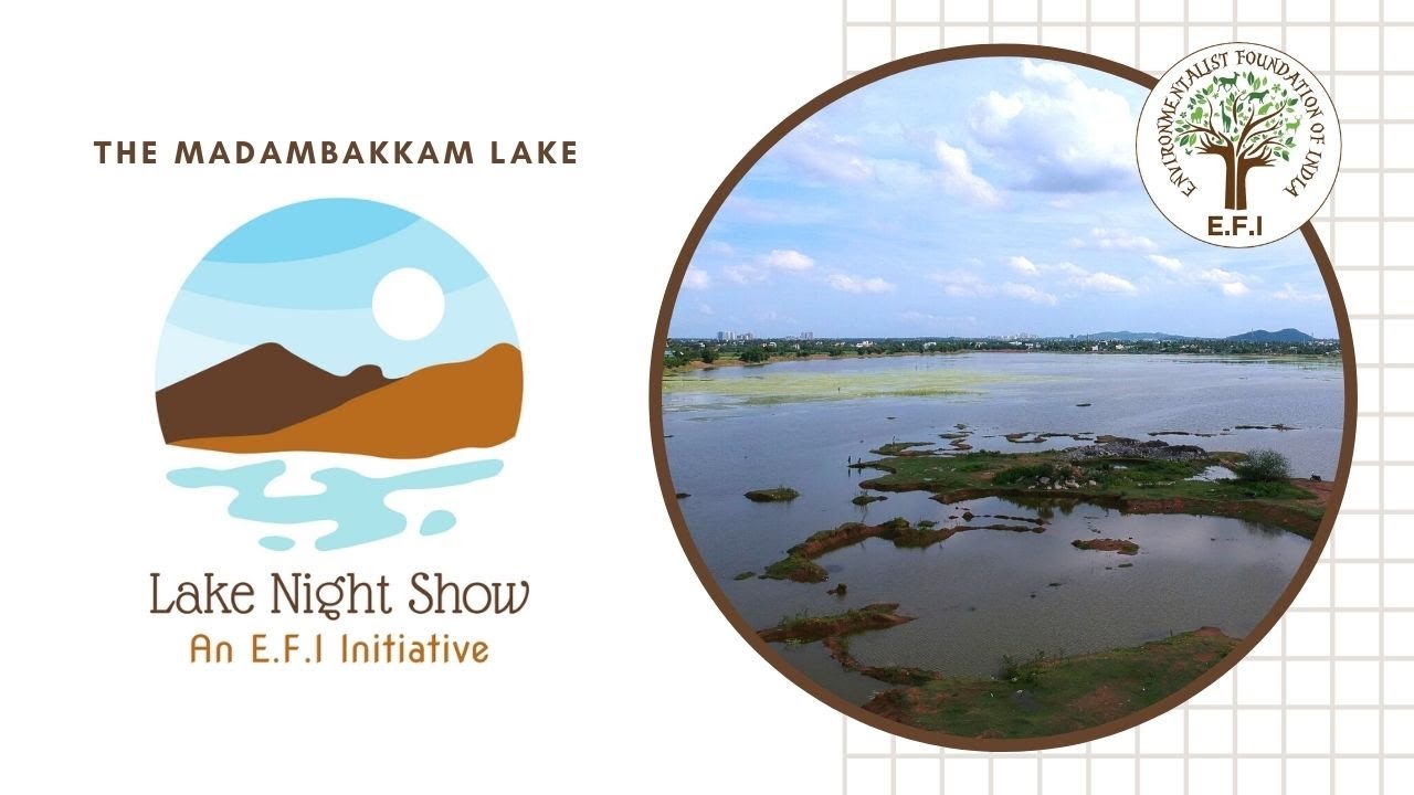 E.F.I's Lake Night Show - Madambakkam Lake. வரலாற்று நீர் பொக்கிஷம் மாடம்பாக்கம் ஏரி.