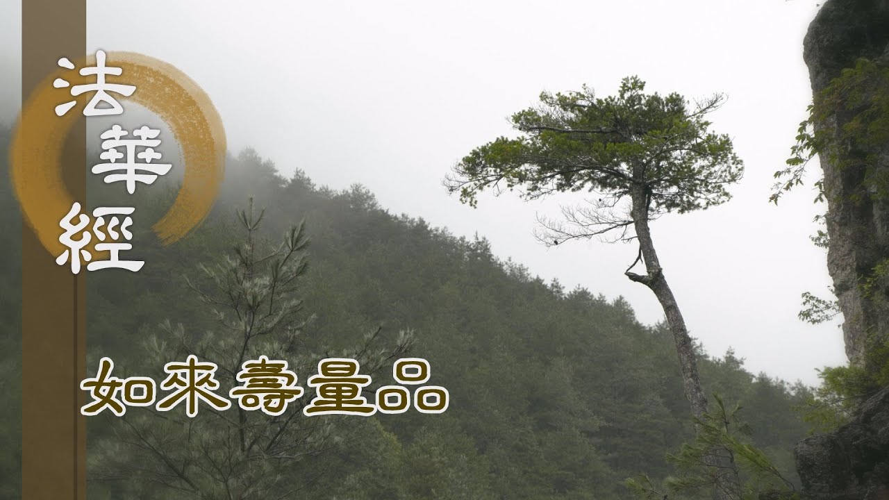 【靜思妙蓮華】法華經如來壽量品 - 處處自說 令眾歡喜 - 20231010 第1520集