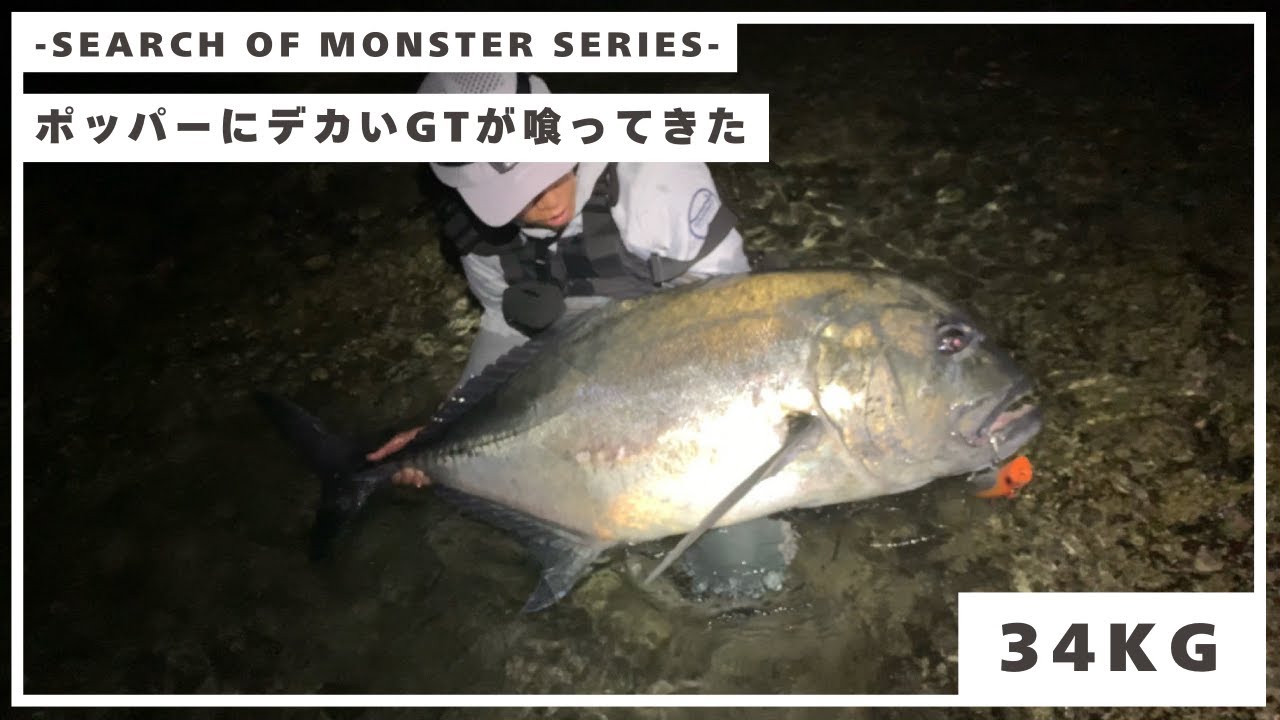ショアGT 34kgのモンスター ロウニンアジがポッパーに喰ってきた‼︎【ラグゼ ショアゴリラ R100XXH】
