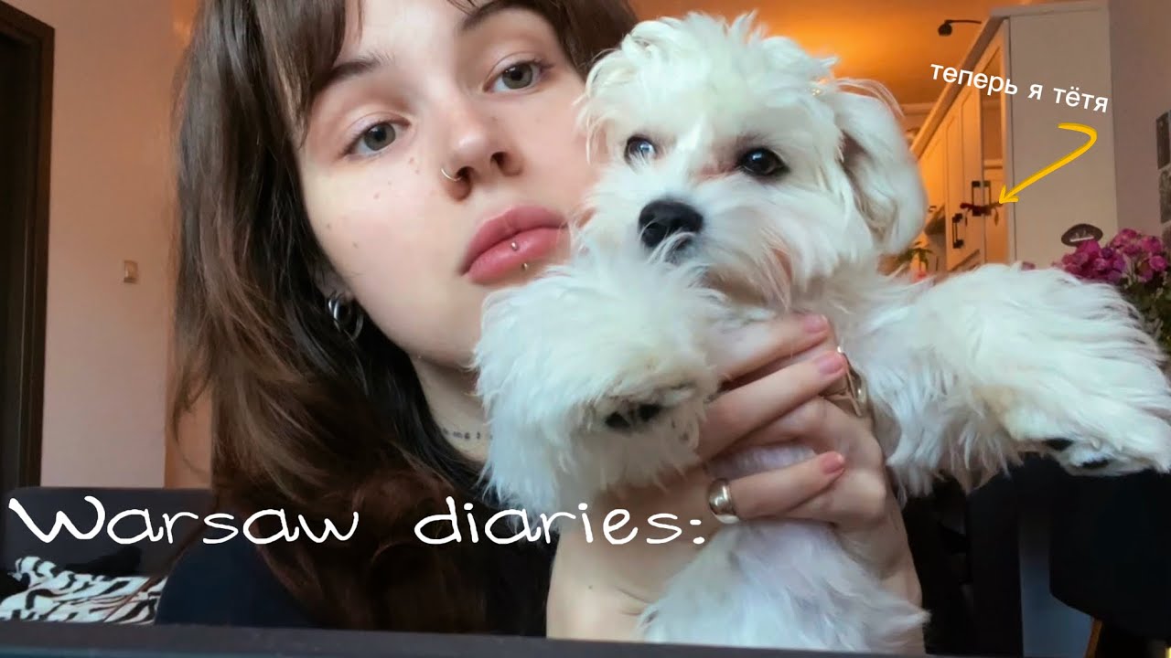 видео дневник: life updates, собака, свадьба, увольнение и весна в Варшаве 